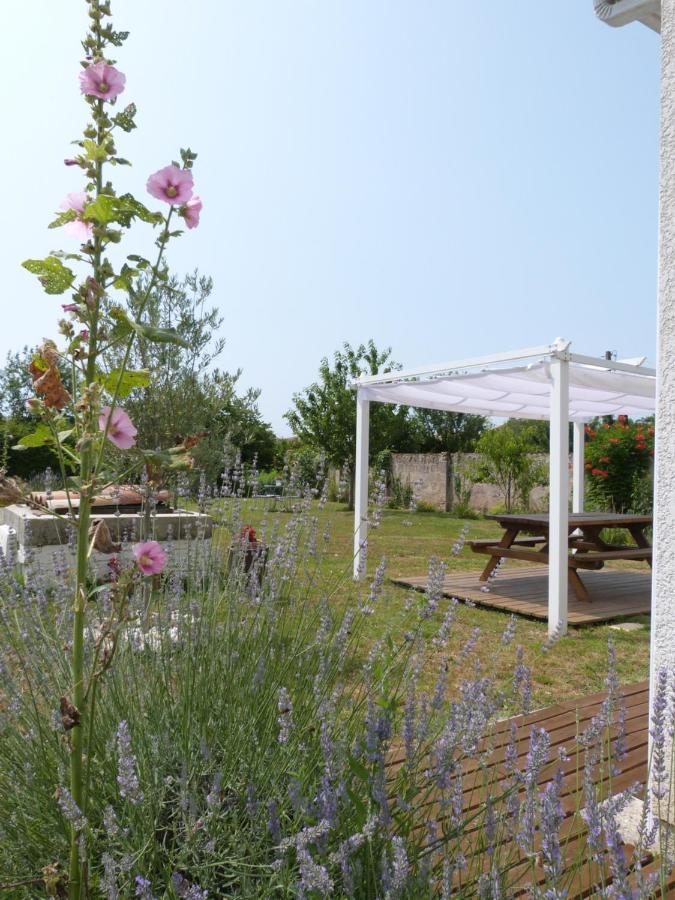 Gite Le Cherche Midi ガイヤック エクステリア 写真